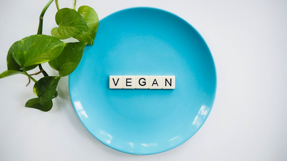 The Rise of Plant-Based Protein: A Guide to Vegan Sources