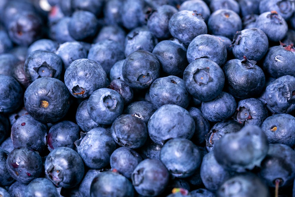 Exploring the Antioxidant-Rich Properties of Berries