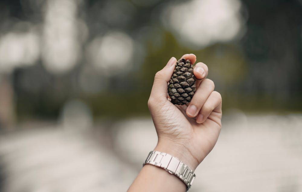 Chia Seeds: Tiny Seeds with Big Health Benefits