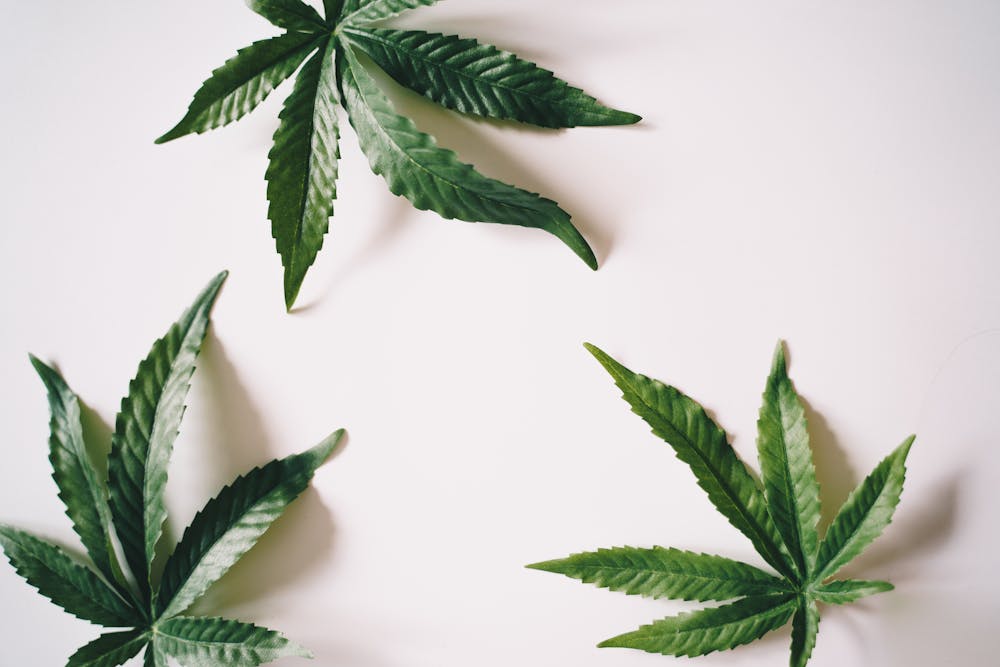 Demystifying CBD: What You Need to Know About Cannabidiol