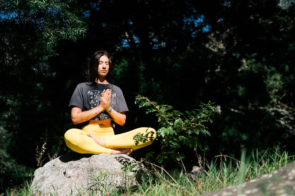 Cultivating a Daily Meditation Practice: Tips for Beginners