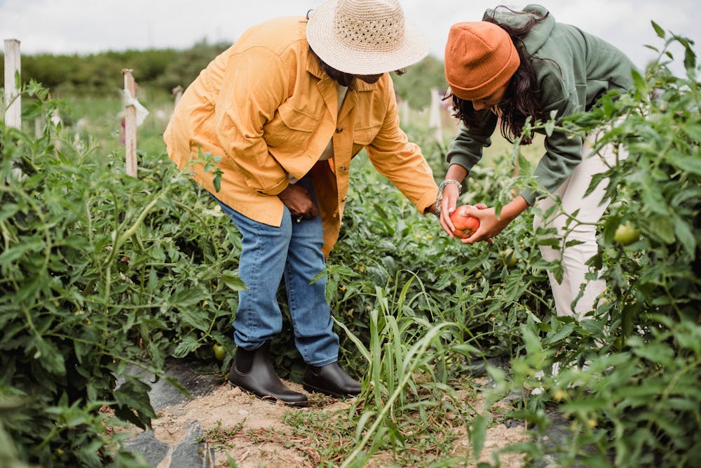 Finding Balance: Tips for Juggling Work, Family, and Self-Care